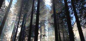 Quis at placeat distinctio harum