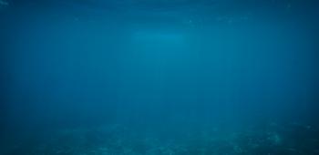 Deserunt accusamus sunt sapiente